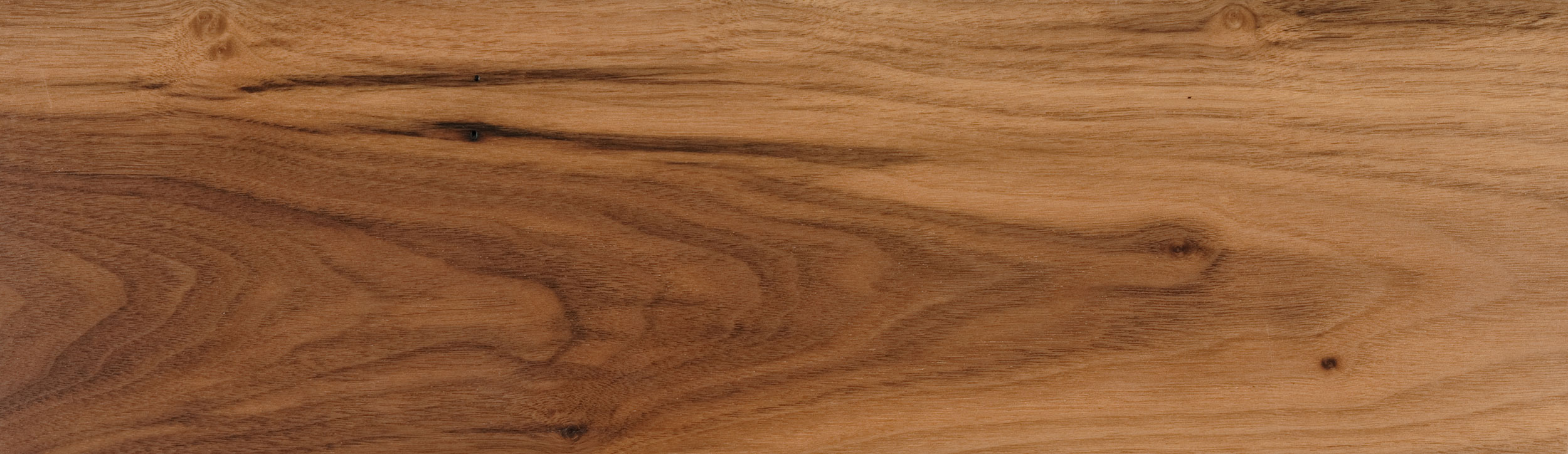 American Black Walnut