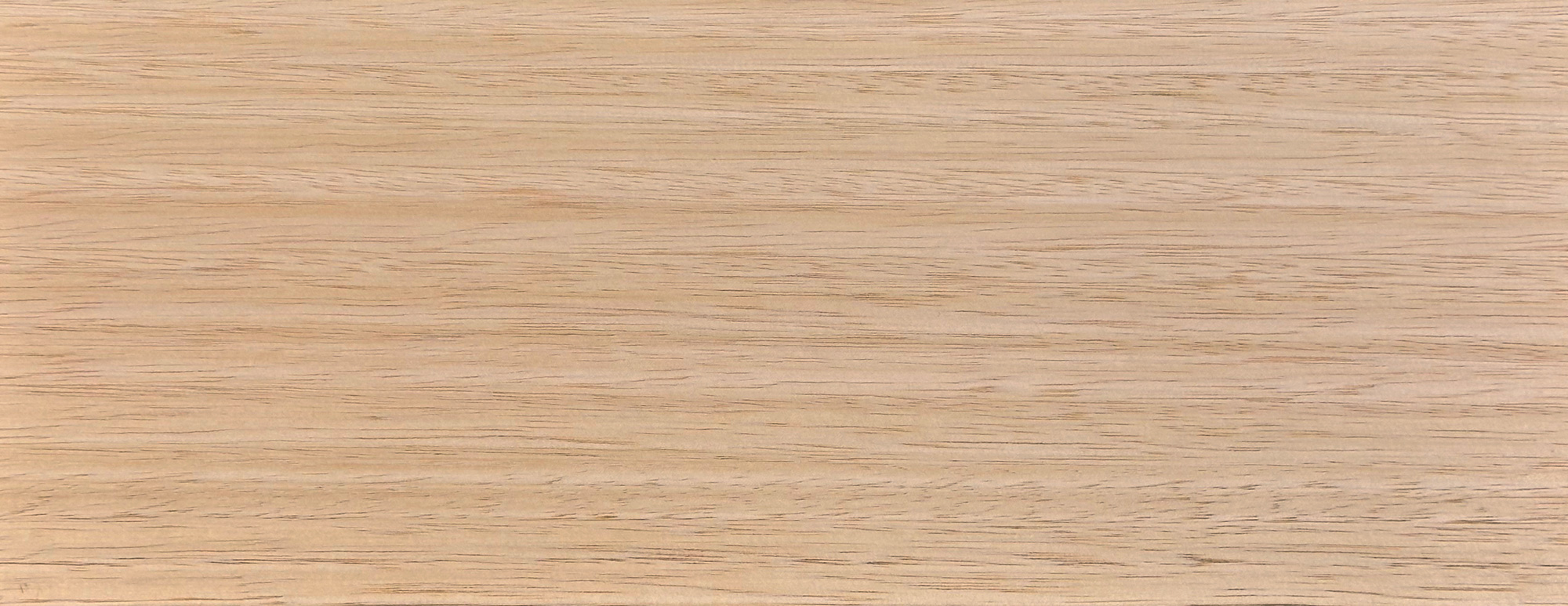 Tasmanian Ash