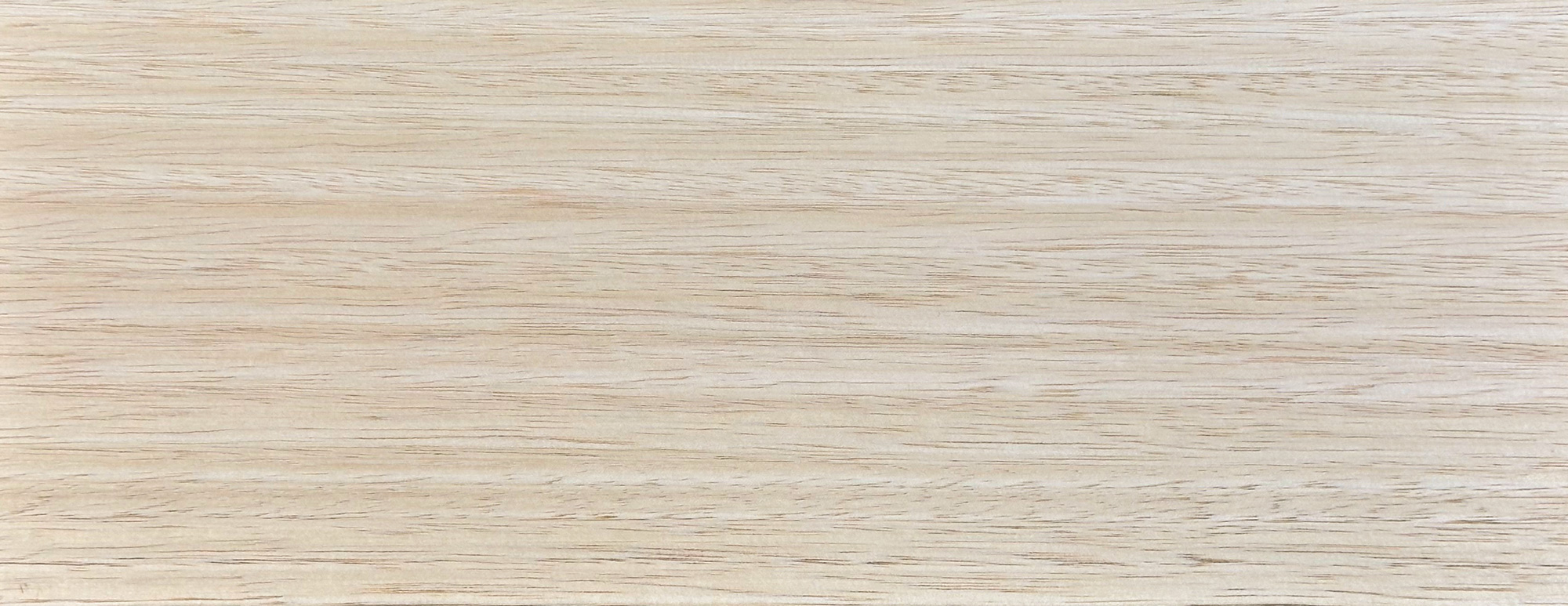 Tasmanian Ash
